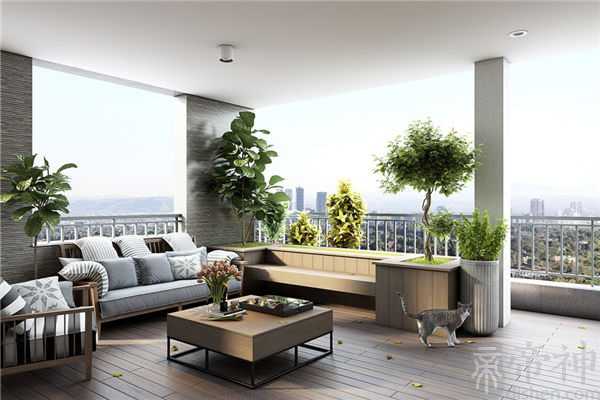 阳台风水植物养什么最好 阳台风水植物养什么最好