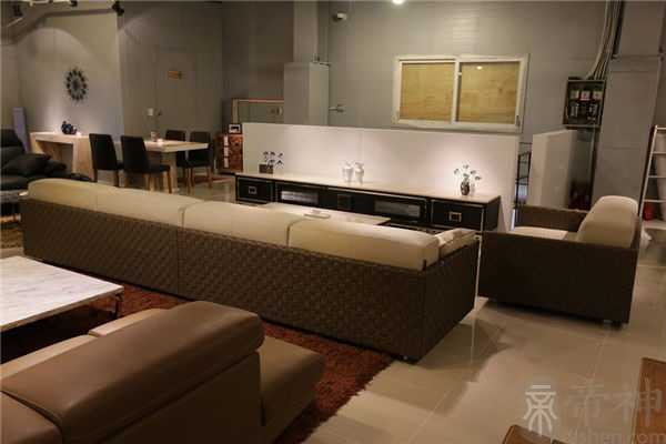 客厅飘窗适合摆放什么植物