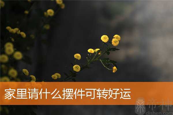 家里请什么摆件可转好运