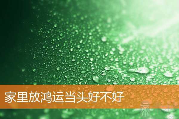 家里放鸿运当头好不好
