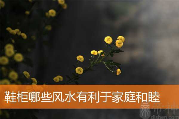 鞋柜哪些风水有利于家庭和睦