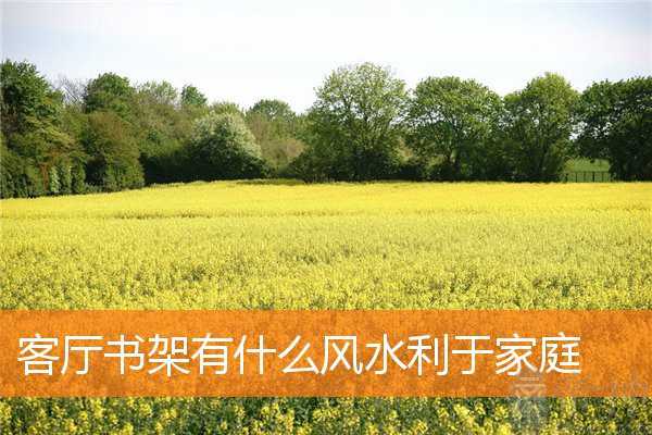 客厅书架有什么风水利于家庭