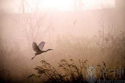 犯太岁如果不破解会一直犯吗？什么时候拜太岁？