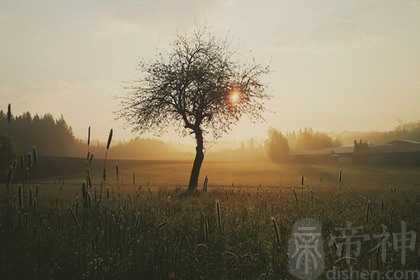 犯太岁冲喜好不好？什么人不能冲喜？