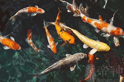 犯太岁佩戴什么化解？犯太岁怎么改变运势？