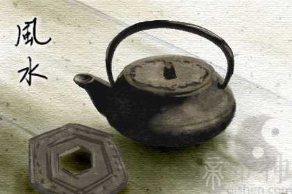 老家种什么树风水好又旺财 蓬莱松招财转运长寿吉祥