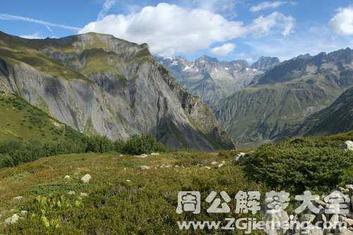 梦见远山