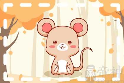 老公属猪老婆属牛生虎宝宝好吗 财运亨通财源滚滚