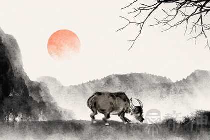 生肖牛的号码最吉利招财 幸运数字提升财运