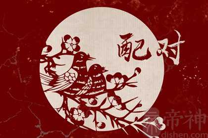 老公属兔老婆属鸡好不好 各自安好各自为营