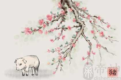 属猪人手机尾号吉祥号 选用吉利数避开忌讳数