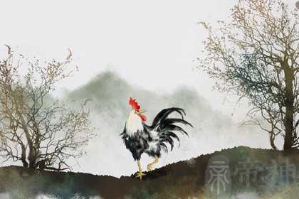 属鸡男最佳婚配 生肖牛龙最为合适