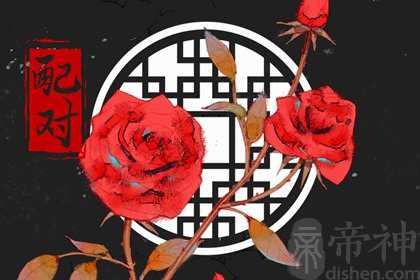 02年马女和00年龙男 二人婚配夫妻齐心