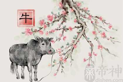 97属牛女在2022年姻缘怎样 姻缘际会遇良人