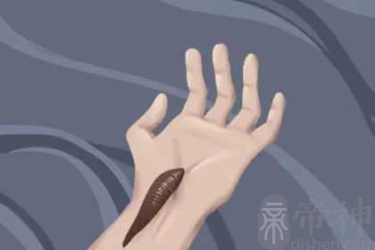 周公解梦：梦见从身上拔出吸血虫什么意思