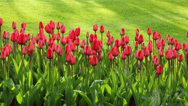 TA是个超级专一，只爱你一人的人吗？