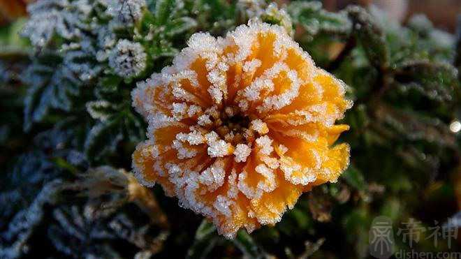 宿命爱情心测：前任好、现任好，还是下一任更好？