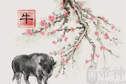 属牛男和属牛女婚姻配吗 相处十分融洽