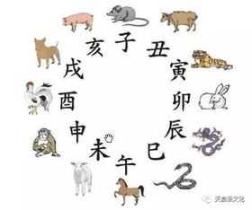 生肖的财位指的是什么,风水里的财位指的是什么