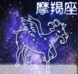 信佛的摩羯女,摩羯座女人的性格是什么样子的?