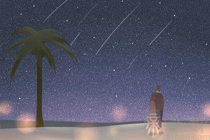 2023年春节前生的孩子属什么 立春前都属虎