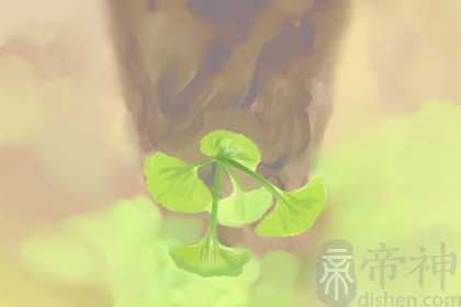 2023年哪些人会有好运 属狗人运气最好排在首位