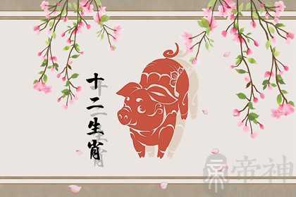 95年猪和90年马相配吗 能够增加彼此的财运