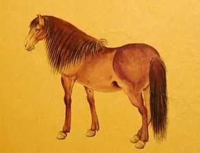 02属马女正缘什么时候来,我的正缘什么时候才能来?