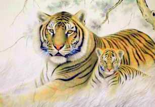 四月属虎命五行缺什么,属虎的五行缺什么