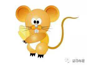 属鼠的和属什么婚姻好,属鼠和属什么结婚才好