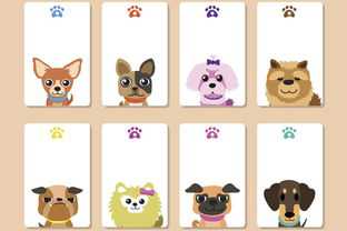 今23岁是什么生肖属,今年二十三岁属什么生肖