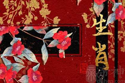 2023兔年复婚的生肖 属羊人能够复合