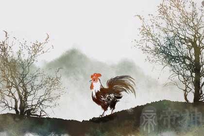 猪肖和鸡肖婚配什么样 是一对存在较大差异的组合