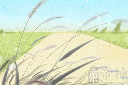 黑兔青龙有大事 为什么2023年是黑兔