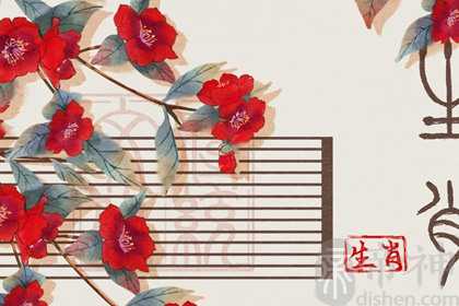 2023兔年吉利的生肖是 龙人的家庭关系和睦