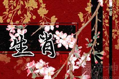 2023兔年旺兔的生肖 生肖鼠和生肖虎