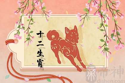 生肖鸡和生肖狗配吗 各有所长适合晚婚