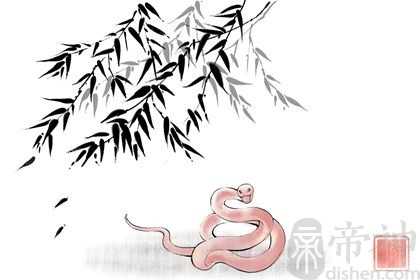 2023年属蛇人的感情和婚姻 感情不佳需主动出击