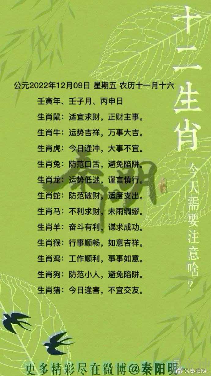 秦阳明每日生肖运势2022年12月9日