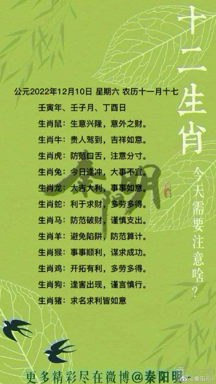 秦阳明每日生肖运势2022年12月10日
