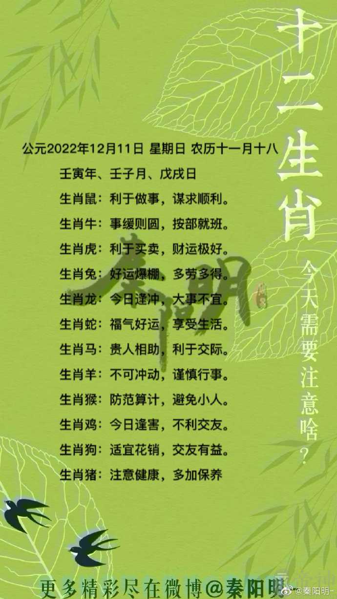 秦阳明每日生肖运势2022年12月12日