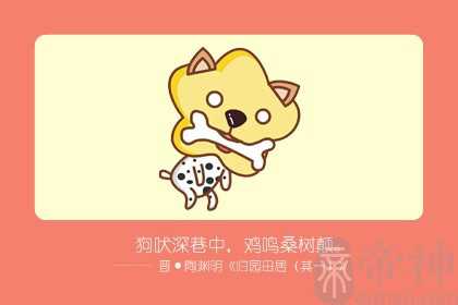 男生肖狗和什么生肖配 能够帮助对方变成更好的人