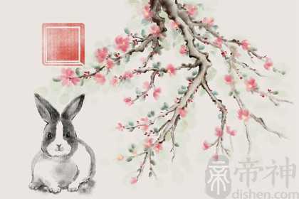 属兔什么数字吉利数字 生肖兔的车牌吉利数字