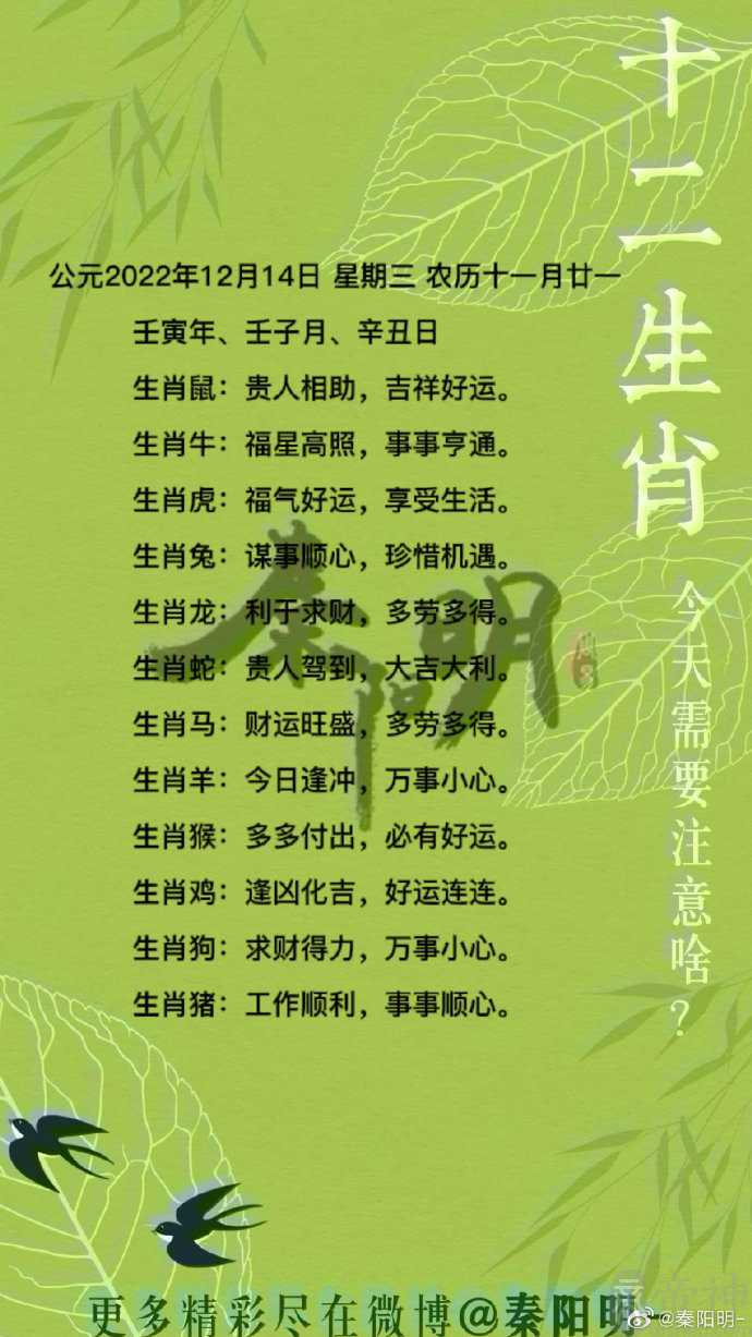 秦阳明每日生肖运势2022年12月14日