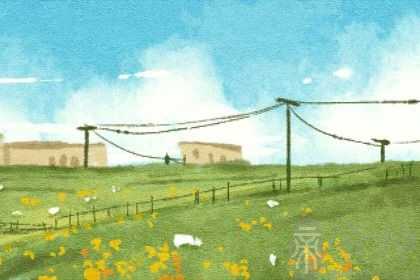 2023年黑兔年大灾难是什么 黑兔年的说法分析