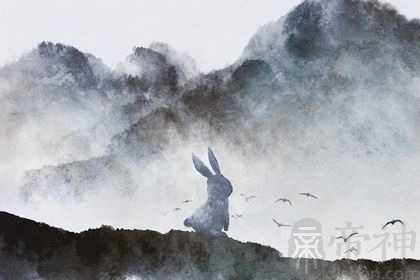 什么是黑兔大灾难 为什么说黑兔年不好