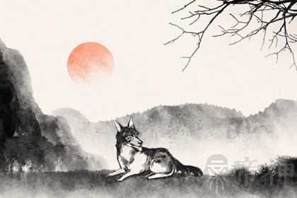 1982年属狗2023年婚姻 婚姻幸福和谐需认真对待