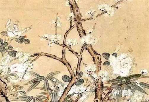 特吉生肖：2023年1月26日生肖运势解析