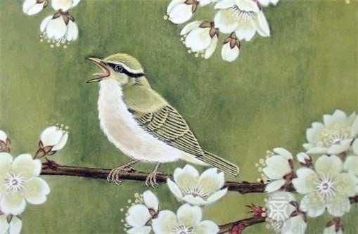 腊八节吃八宝粥 腊八节吃粥的由来