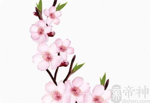2023年1月26日可以动土吗 是修造动土大吉日吗